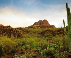 Auto Mieten & Mietwagen in Tucson