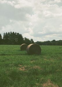 Mietwagen & Auto Mieten in Pennsylvania