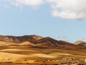 Mietwagen & Auto Mieten Flughafen Fuerteventura