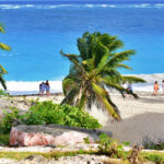 Besuchen Sie diese 5 besten Strände in Barbados, um ein tolles Reiseerlebnis zu haben